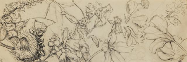 Schönheit der Vergänglichkeit