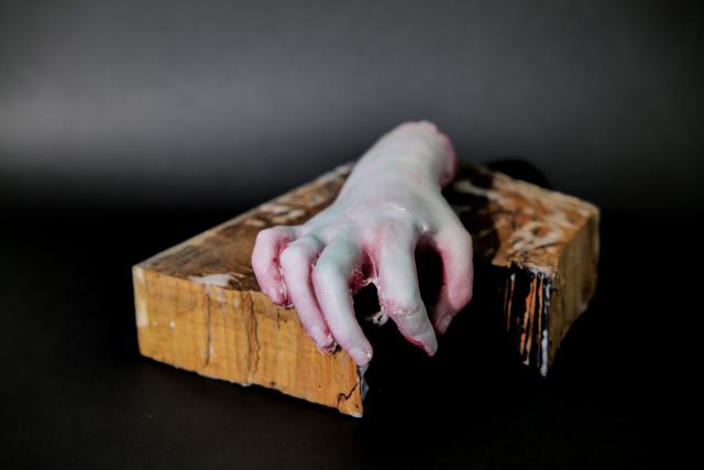 manu et pede - mit Hand und Fuß