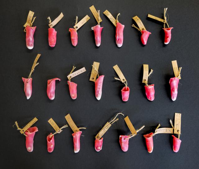 Ein Stück von mir - Fingerabgüsse