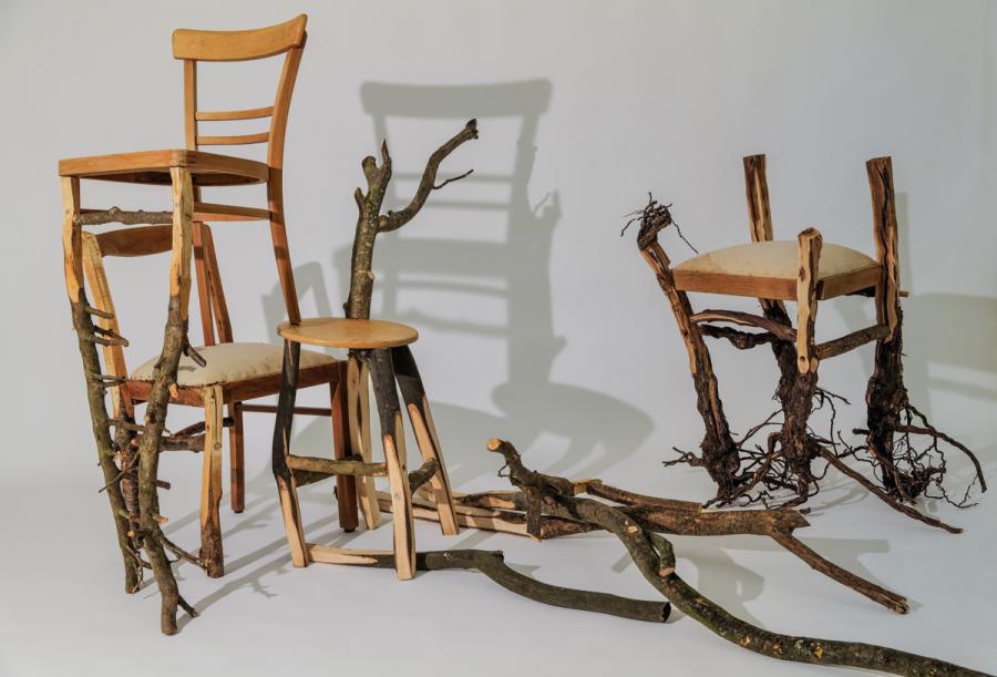 Wachstumsstudien eines Stuhls