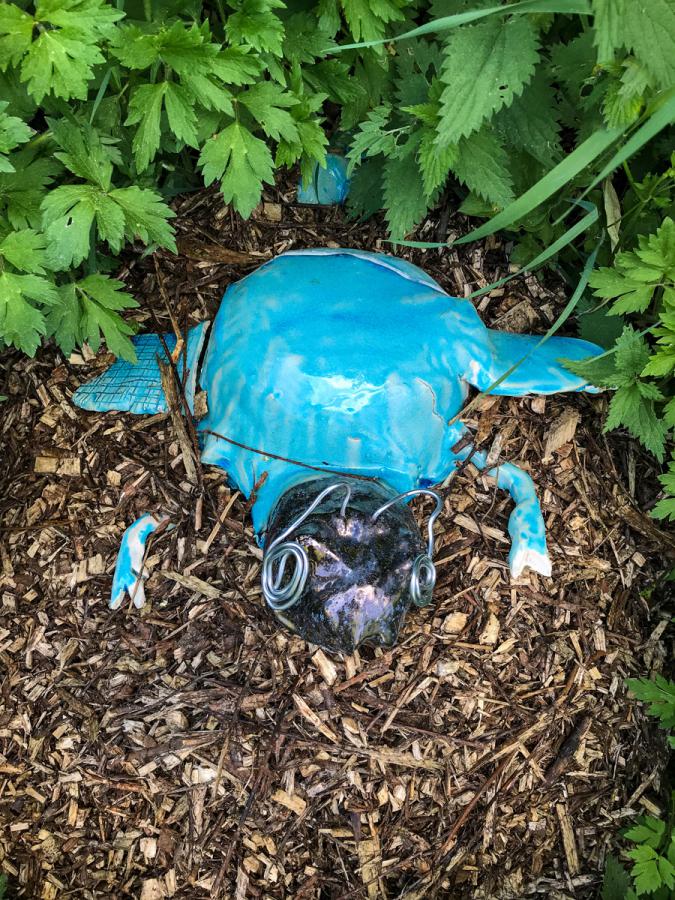 Neues krabbelt aus der Erde