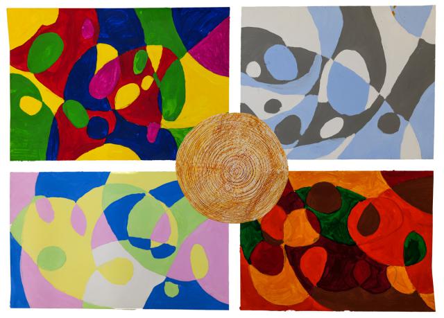 Jahreszeiten und Jahresringe