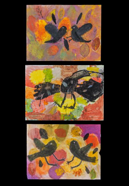 Worum sich Raben streiten