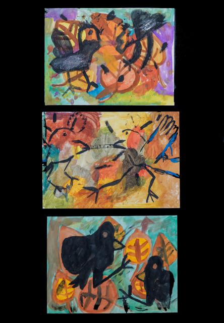 Worum sich Raben streiten