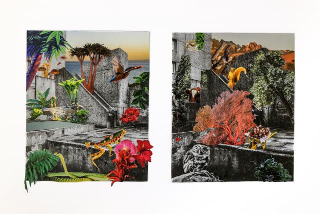 Natur erobert die Stadt