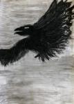 Krähen
