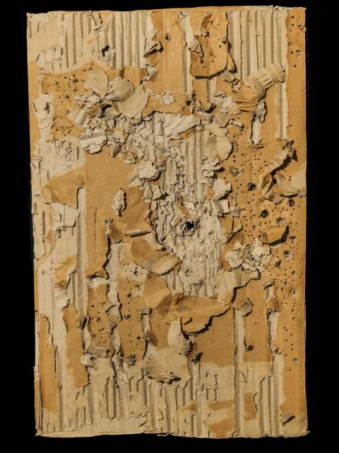 Höhlen auf der Schwäbischen Alb