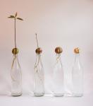 Fotografie "Kernspaltung"