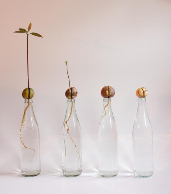 Fotografie "Kernspaltung"