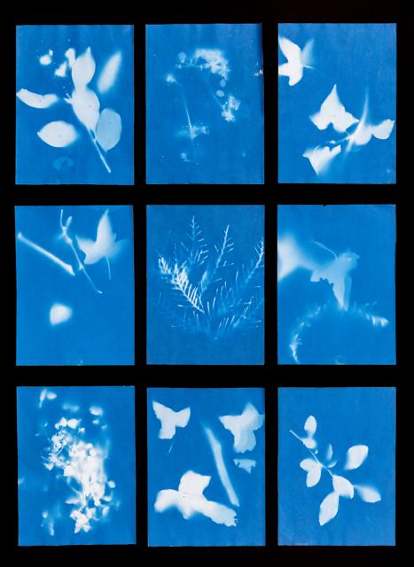 Sonnenfotografie - Momentaufnahmen