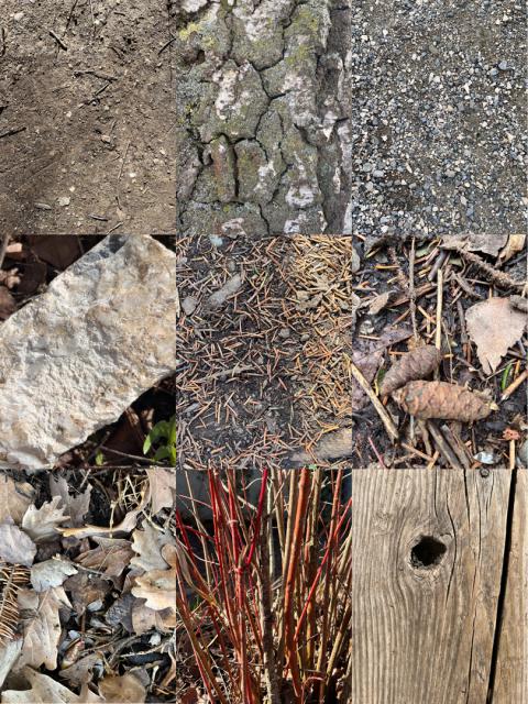 Farben in der Natur zu Frühlingsbeginn