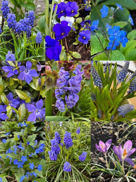 Farben in der Natur zu Frühlingsbeginn