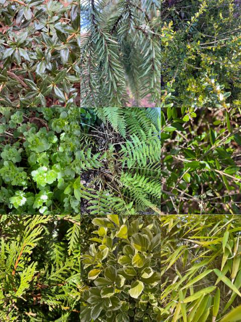 Farben in der Natur zu Frühlingsbeginn