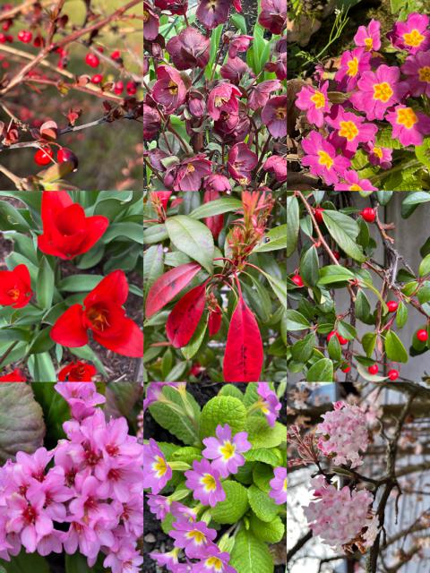 Farben in der Natur zu Frühlingsbeginn