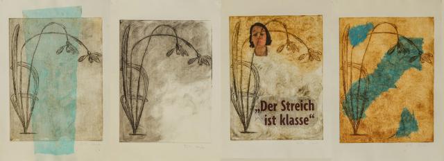 Schneeglöckchen im Wandel