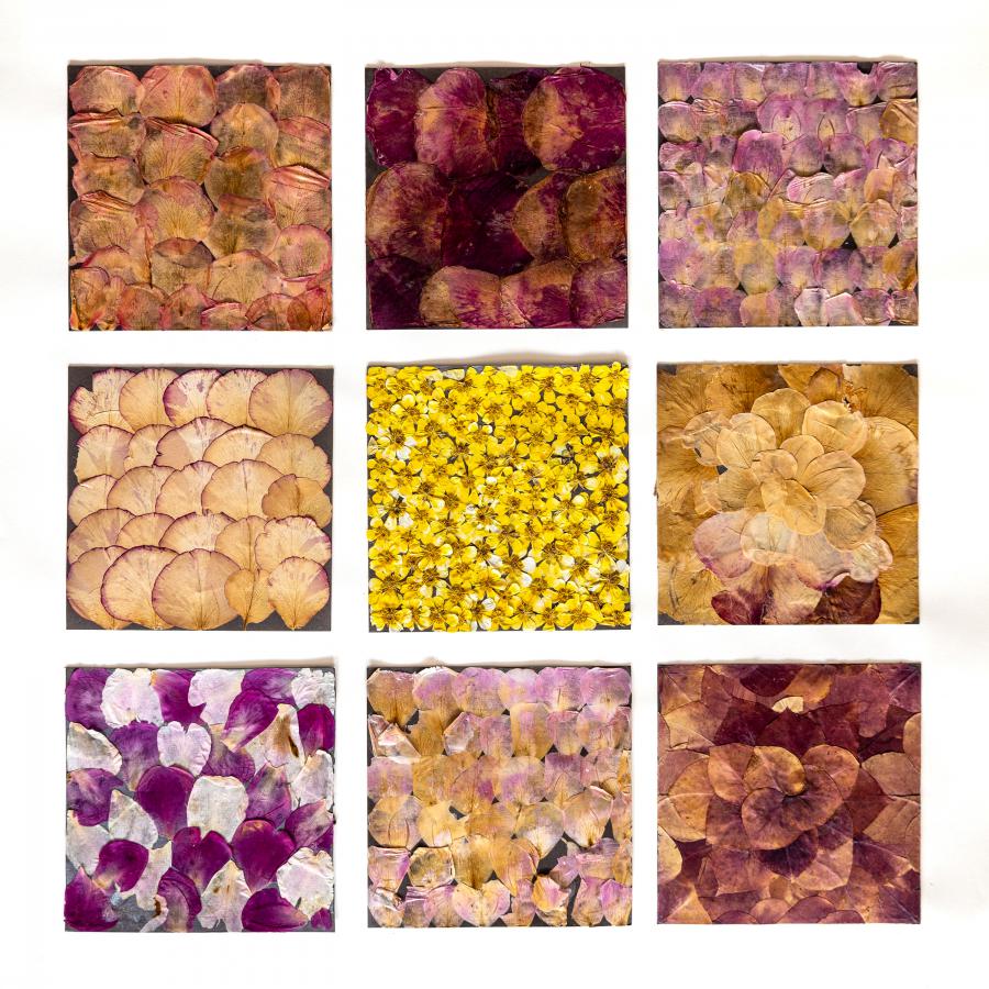 Blüten im Jahreslauf