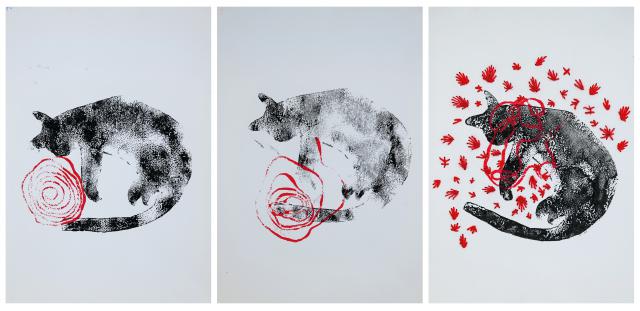 Lieblingstier nach Abi Shek