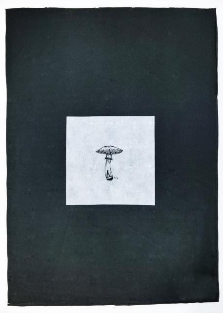 Textil-Pilz