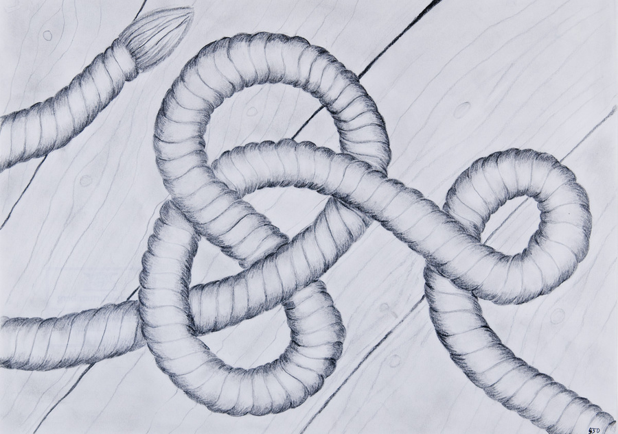 Sachzeichnen: Verknotetes Tau