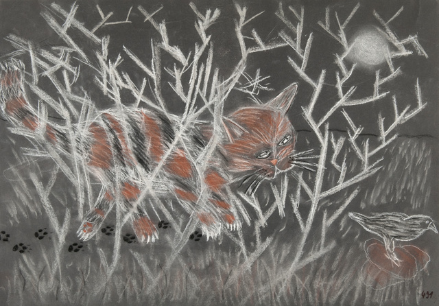 Tier: Katze auf der Pirsch