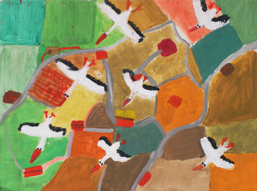 Vögel und Landschaft von oben