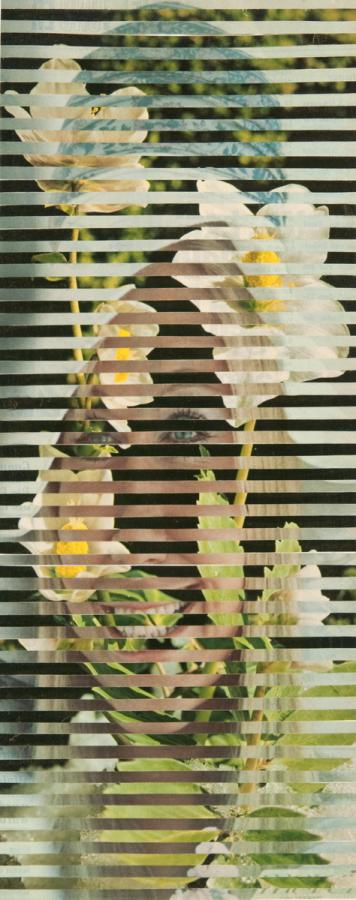 Streifen-Kombination von 2 Fotos